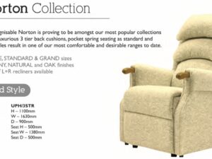 Norton upholstered standard chair