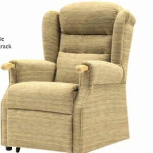 Berkeley upholstered standard  chair