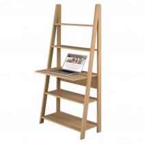 Tiva ladder computer desk